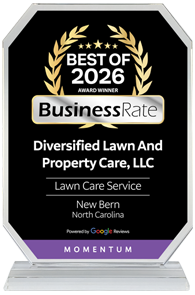 Best Of 2026 BusinessRate Award Winner